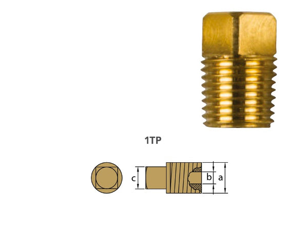 Tecnoseal® 02021TP 예비 황동 플러그 1/4" BSPT (캐터필러 3304 3306 3116 6용)L2282