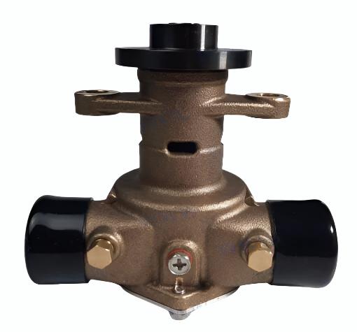 Pompa acqua grezza Recmar® tipo P1016 per Cummins QSD 879312023