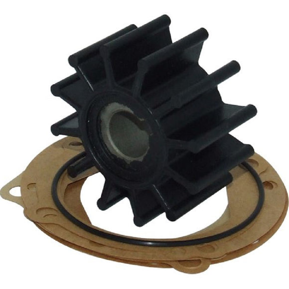 Sherwood® water pump impeller kit 09959K
