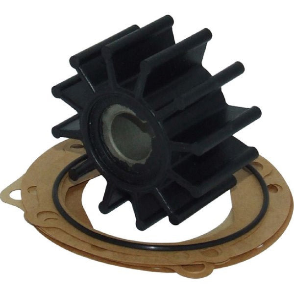 Sherwood® water pump impeller kit 09959K