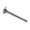 TAMD60 TAMD62 TAMD63 intake and exhaust valves replaces  3825723 8192143