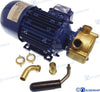 Liverani® ELECTRIC PUMP 12V 25L/MIN GS20220
