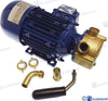 Liverani® ELECTRIC PUMP 24V 75L/MIN GS20224