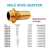 MALE PIPE 3/8" (2)