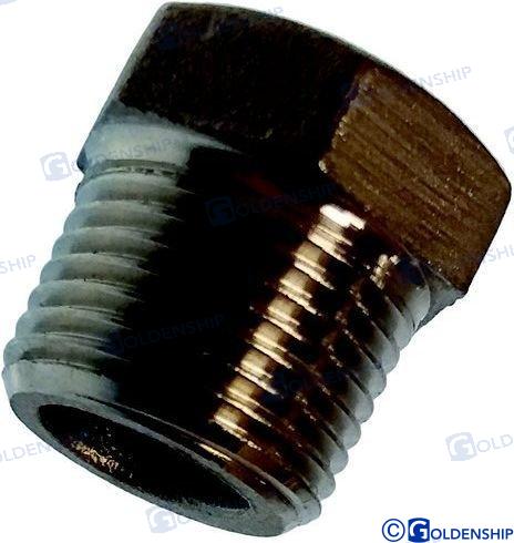 Goldenship® HEX HEAD PLUG AISI 316 2" GS30586