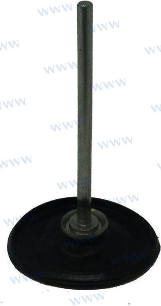 Diagphram, pompa akceleracyjna