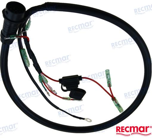 CDI CABLE ASSY (10 PIN) 20-05000061EFI