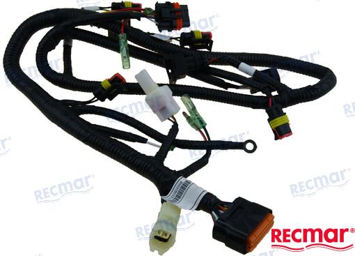 ECU CABLE ASSY 20-05001700MEFIA
