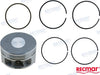 PISTON ASSY 20-05020300