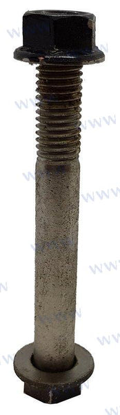 BOUT M10X80