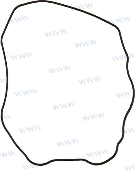 Valve cover gasket F20/F25