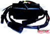 CDI Unit Johnson/Evinrude 150-175 hp