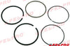 Piston Ring Set GM 3.0L std.