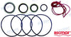 Krukasafdichtingsset Johnson/Evinrude V4/V6