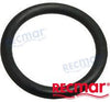 O-ring