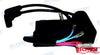 CDI unit Suzuki 40 hp (2)