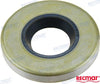 Oil Seal