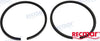 Piston ring kit 0,20mm