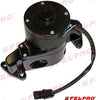 Oil Pump Ford 302