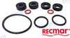 Gearcase Seal Kit Yamaha 2 hp