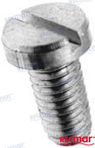 Screw raw water pump