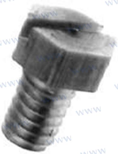 Screw raw waterpump