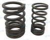 Valve Spring
