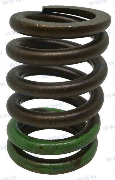 Valve Spring