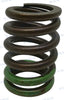 Valve Spring