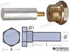 Bukh ペンシル型陽極 Ø12 L.35 真鍮プラグ付き th.3/8'' UNC