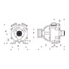 Liverani® SELF PRIMING PUMP 25MM GS20200