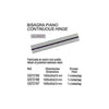 CONTINUOUS HINGE