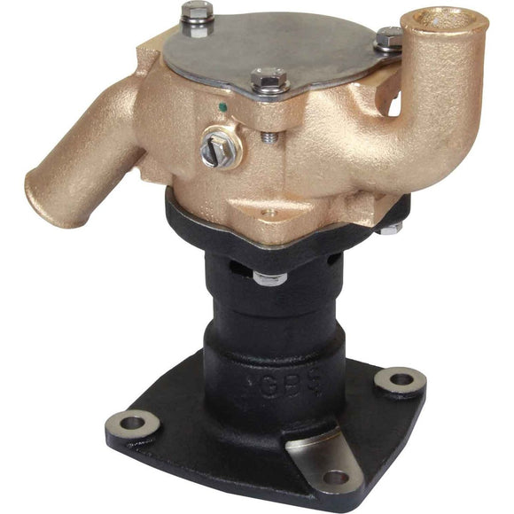 Sherwood G1010 фланец монтирани сурова вода двигател охлаждане помпа (1 